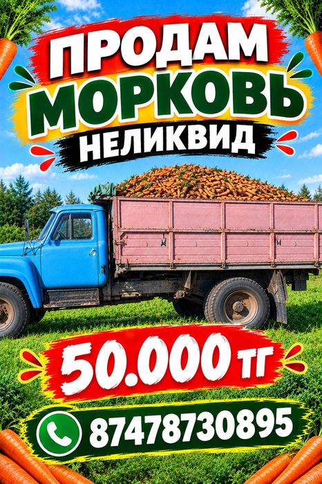 Морковь неликвид