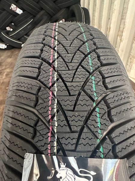 Нови зимни гуми ARIVO WINMASTER PROX ARW3 175/65R15 84T 1756515