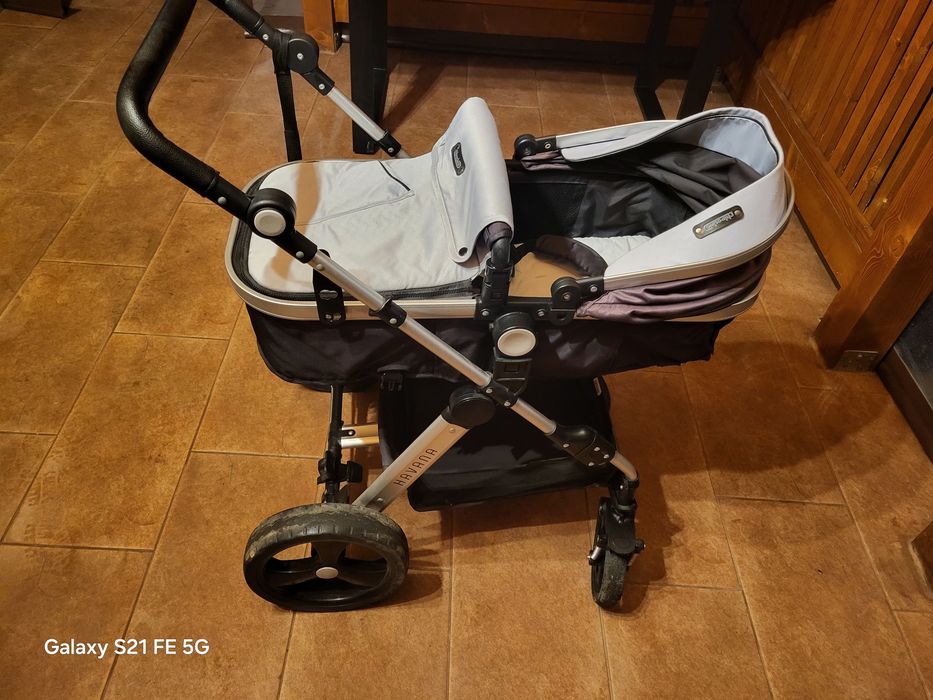 Chipolino havana silver