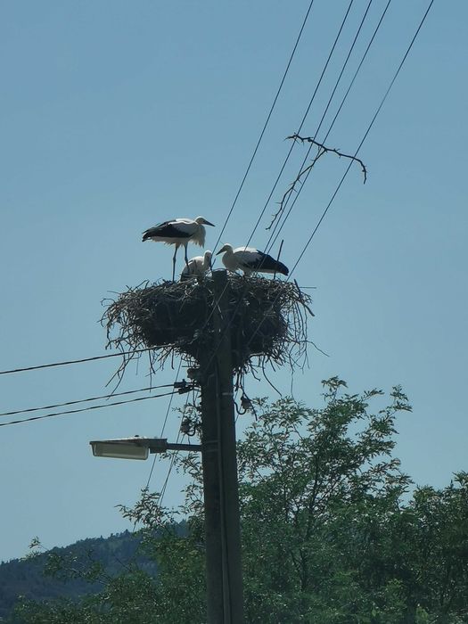 Продава се Парцел в София, Център - 1150 кв.м за 9 €/кв.м - Снимка #11