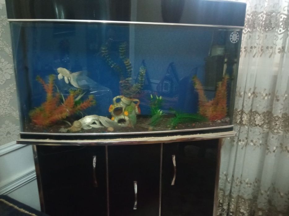 4445 Мебел для дома