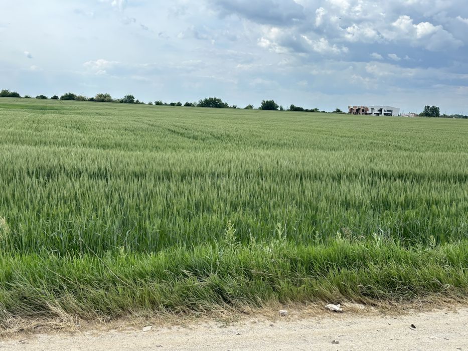 Teren Intravilan Constructii Stefanestii de Jos Nod A0-A3