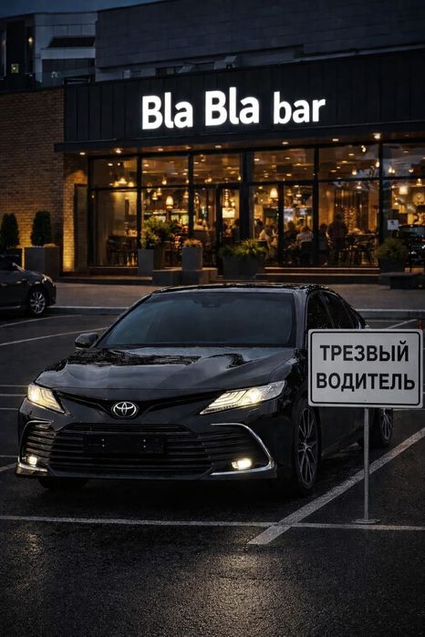 Трезвый Водитель