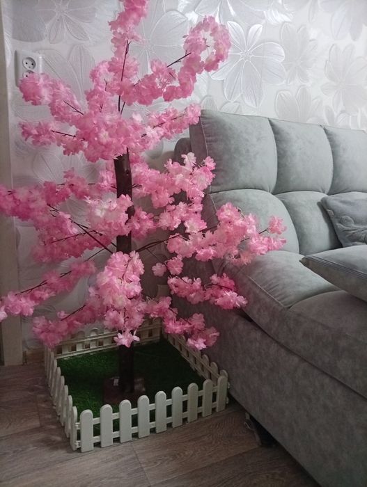 Продам дерево сакура
