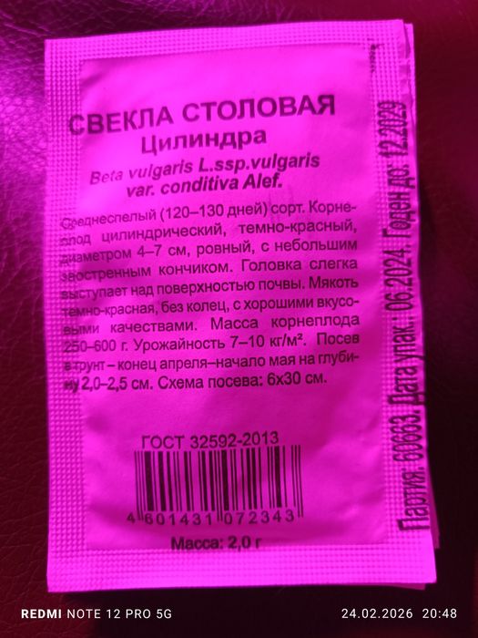 Продам семена свеклы