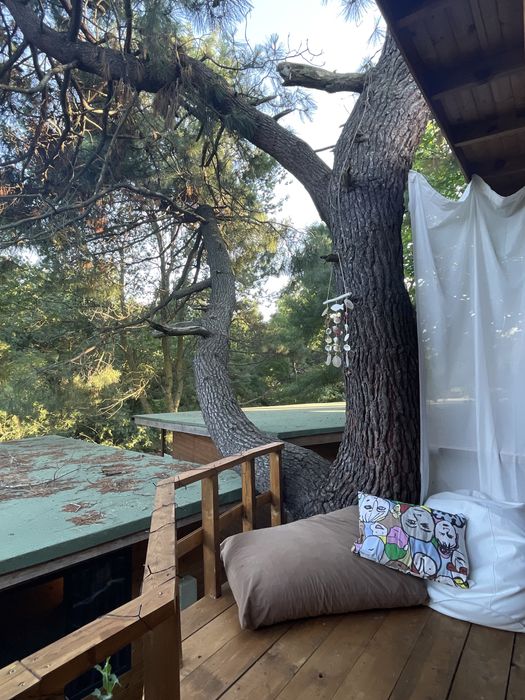 Бунгало под наем, къмпинг Юг