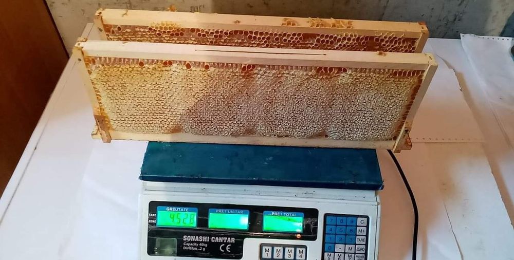 Fagure miere  en gross