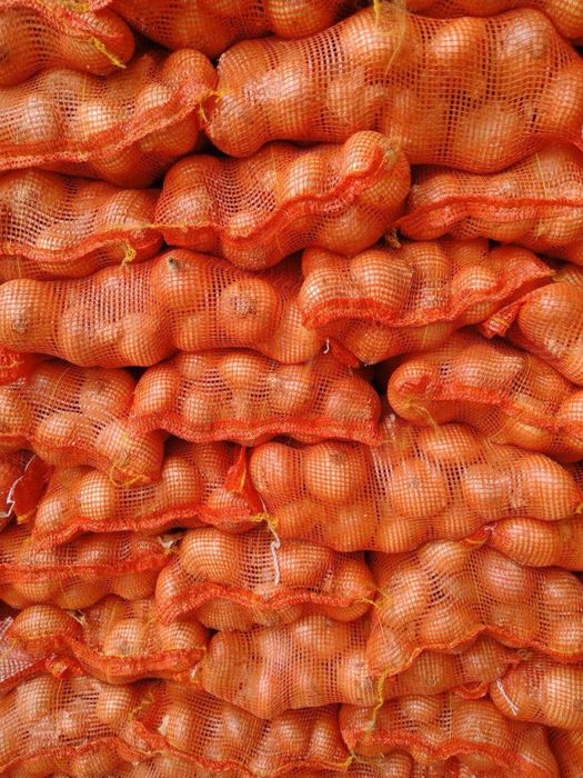 Лук ! Оптом ! Дешево!