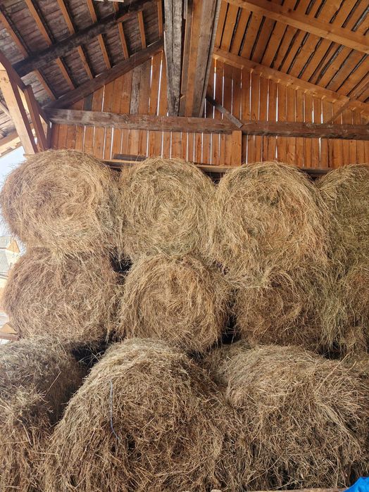 Baloti de fân de vânzare