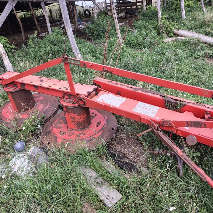 Cositoare poloneză 185cm