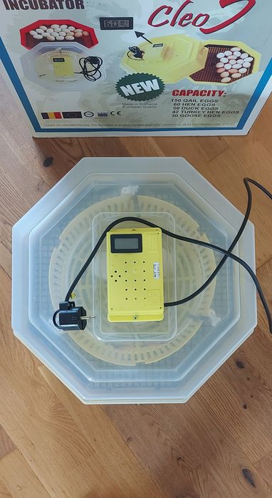 Инкубатор Клео 5