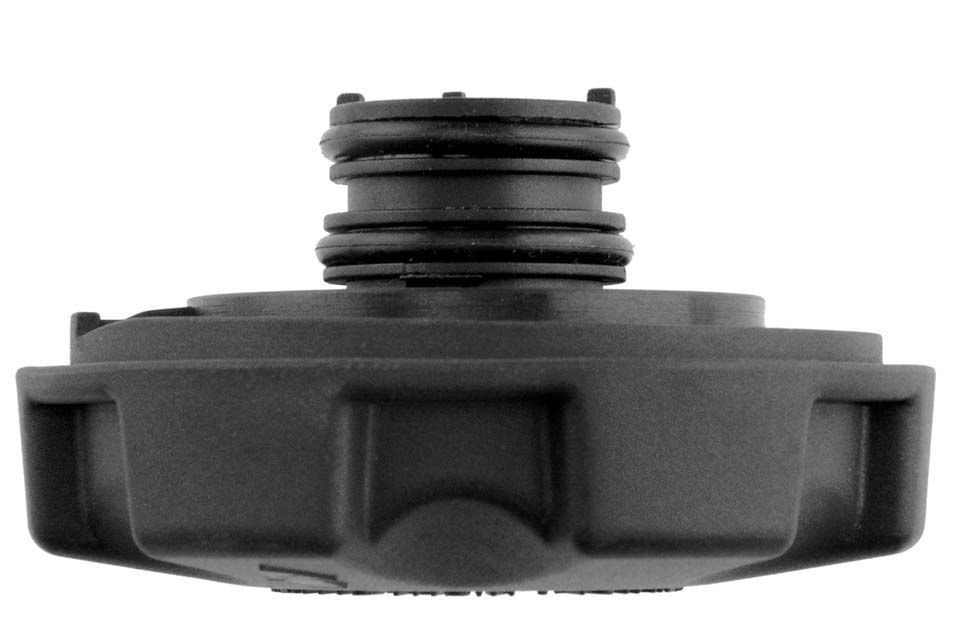 Buson vas expansiune Bmw Seria 5 E60, E61 All Benzina Motor 202010, M5 202010, 5 F10, F11 523i, 535i, 550i 20, 5gt 535i, 550i 20, X5 E70, X6 E71, E72
