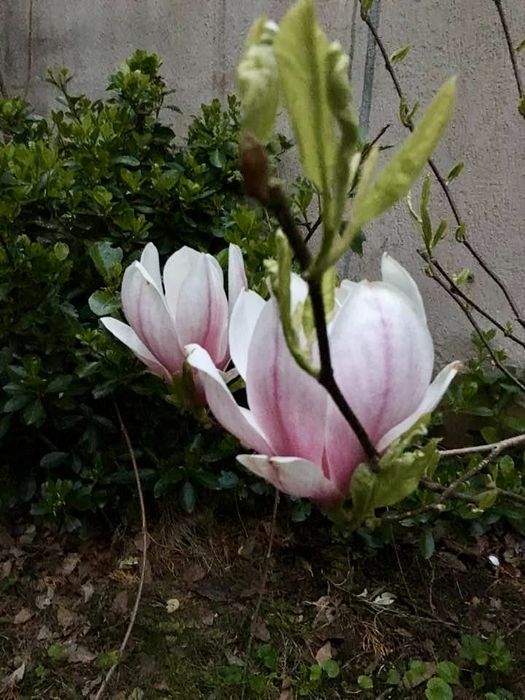 Дава се под наем Двустаен апартамент в София, Манастирски ливади - 75 кв.м за 499.8 € - Снимка #17