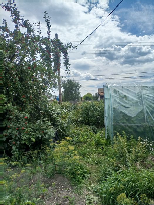 Продам дом и все, что в нем!