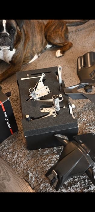 Protectii carbon originale Ducati Panigale V4