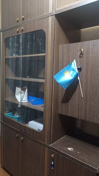 Отдам советую стенку