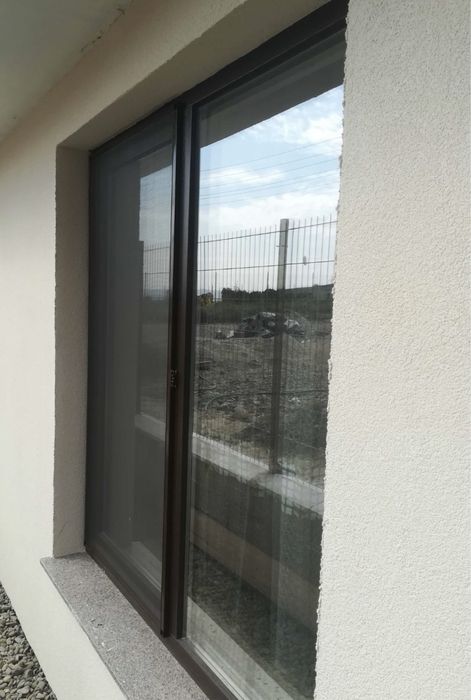 Plase Insecte la comandă