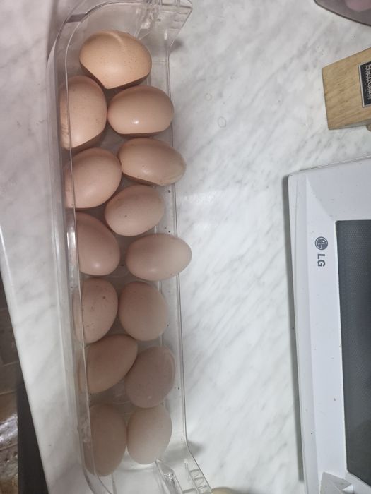 Продаю домашние яйца