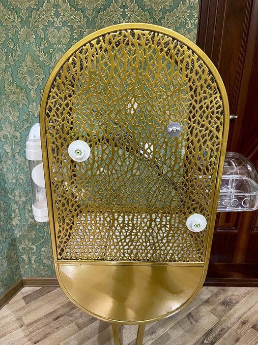 Qafas gold клетка