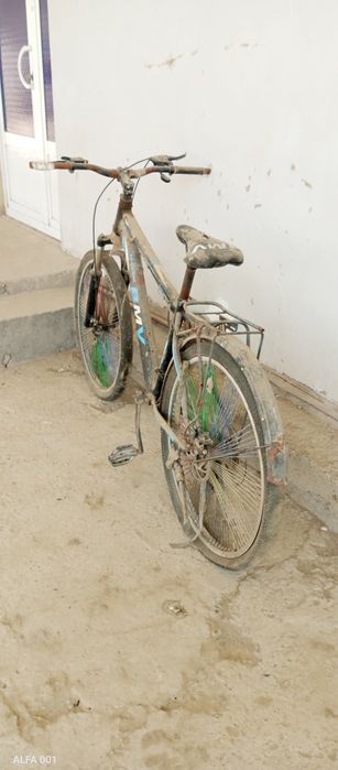 Velosioed. Forword, tuzatib haydadh uchun zoʻr tanlov.