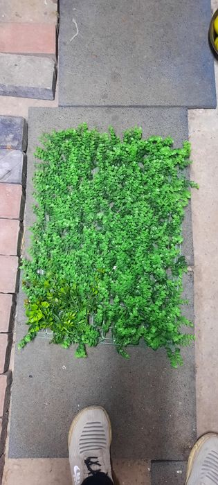 Зелёный забор для дома