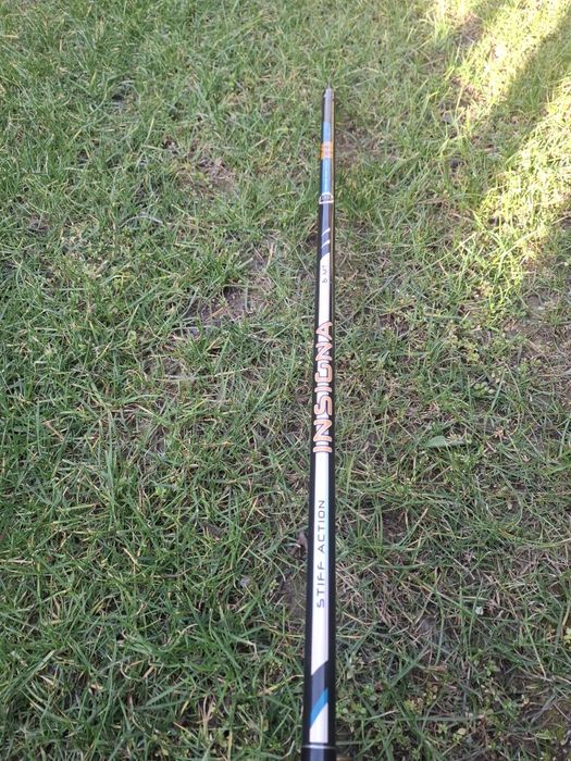 Болонеза Insigna 6m.