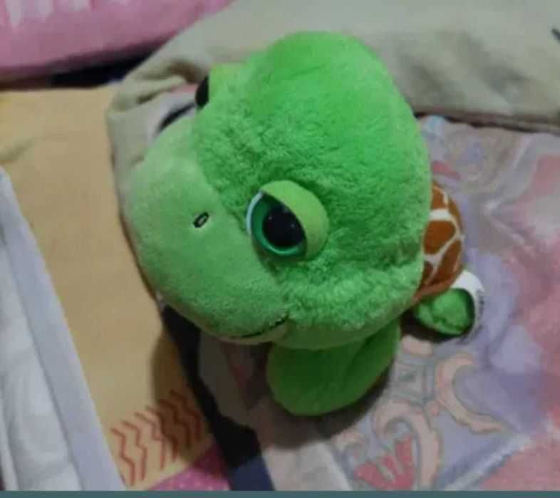 Adorabilul Oachy