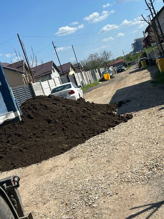 Pamant negru maruntit  /mranita