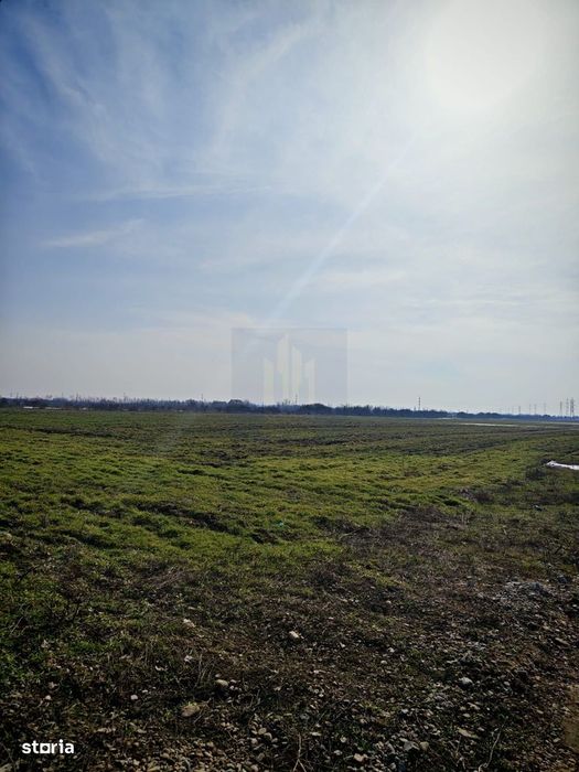 Teren de Vanzare  Caciulati Ilfov