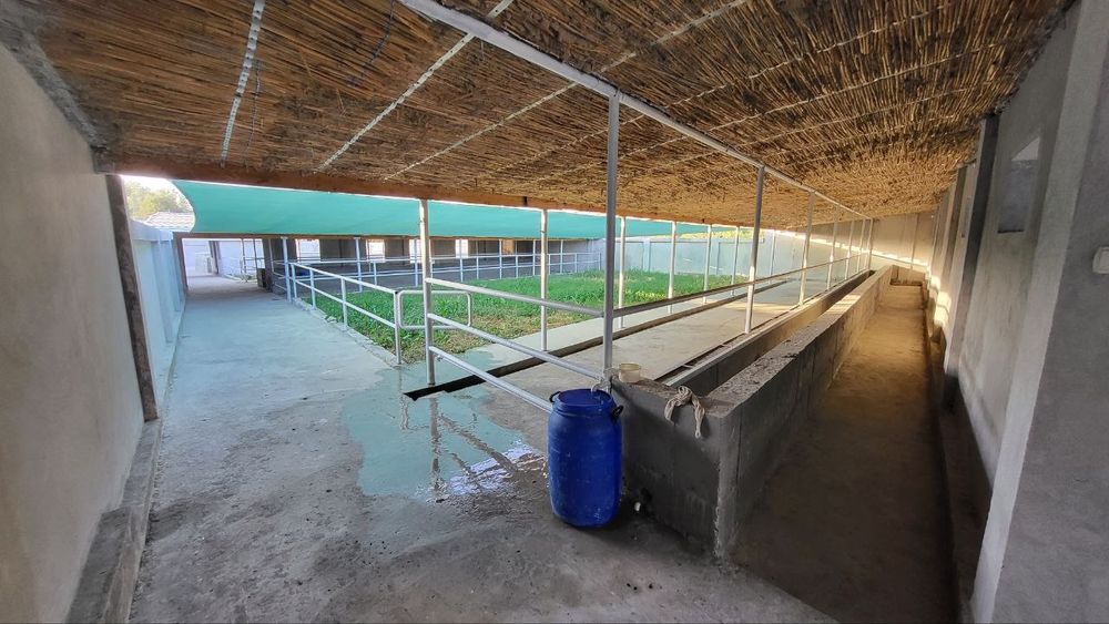 Очень срочно продается готовая ферма 20 соток Янгиюль по трассе м39