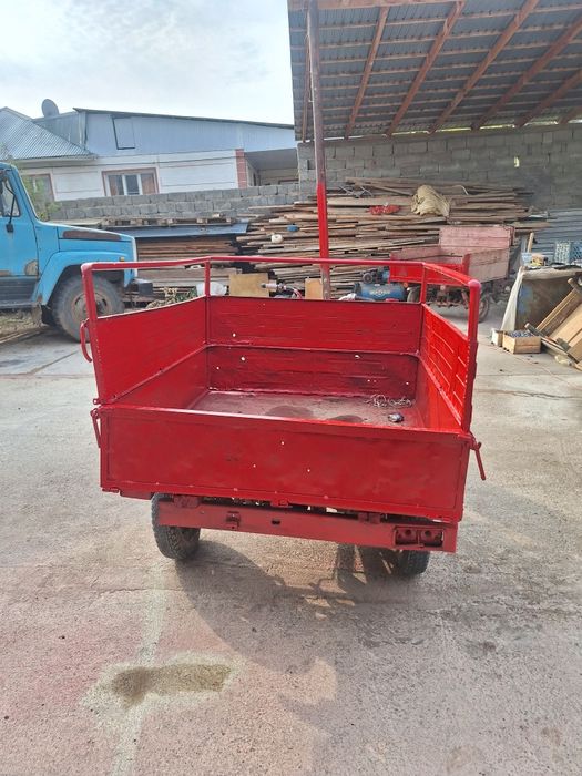 Муравей шымкенти