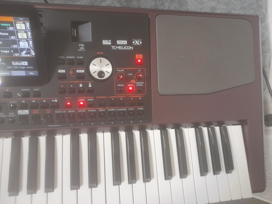 Корг 1000 професионал