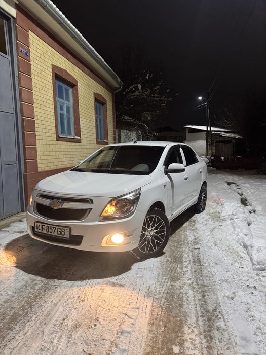 Cobalt sakadiska R17  Obmen Midnight diska balonga