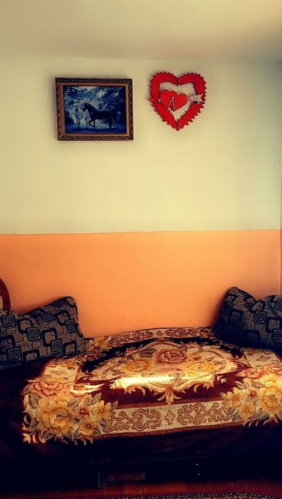 Продам дачу, Спутник