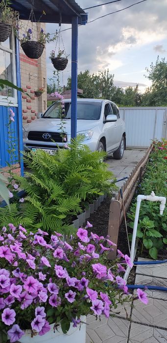 Продам дачу в ст Звёздочка