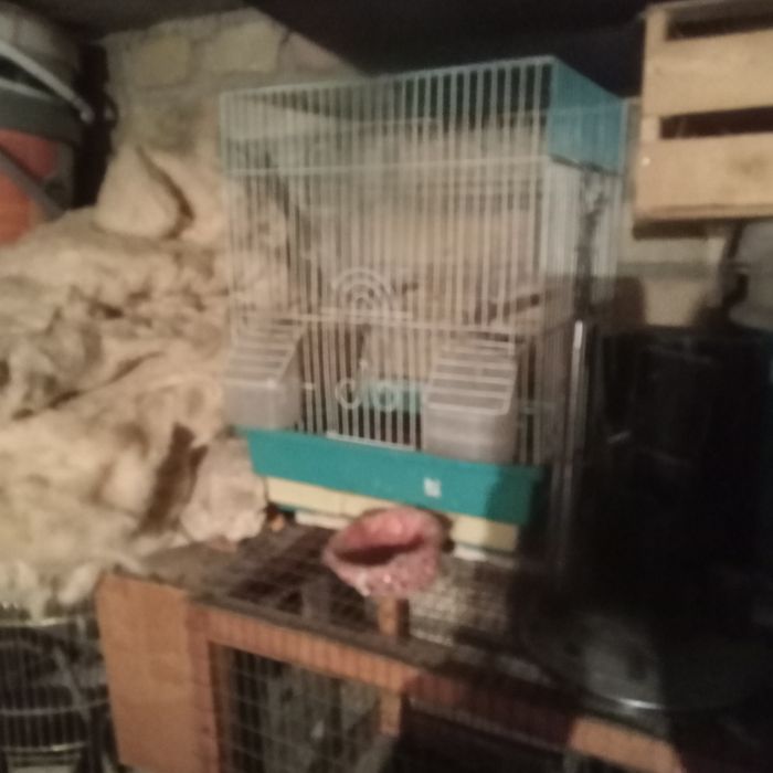 Продоютса клетки для птиц