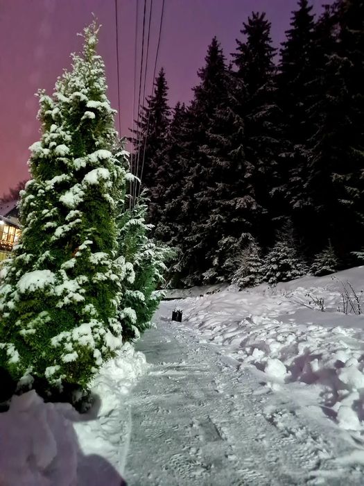 Mountain House Cazare în Buşteni