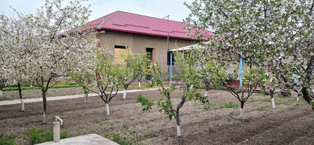 Дом 6 ти комнатная и 6 ти комнатная