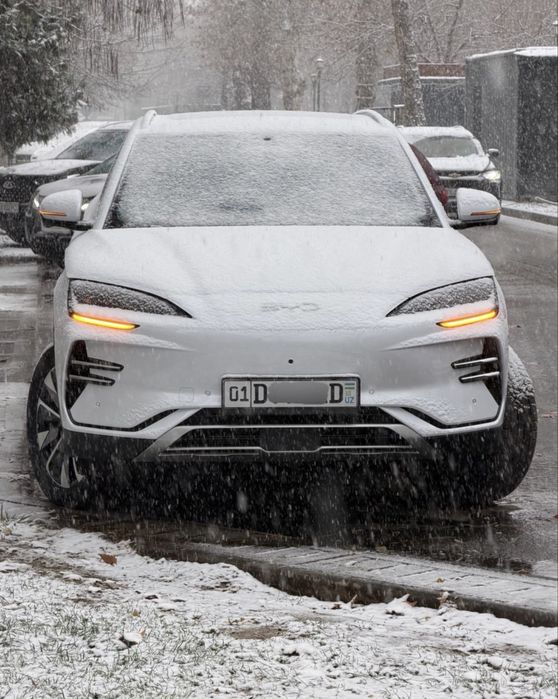 Byd chempion smart 2025/26