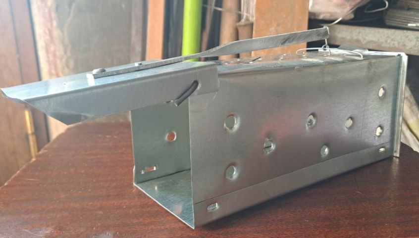 Tamil Eldarxonovning erotik surati