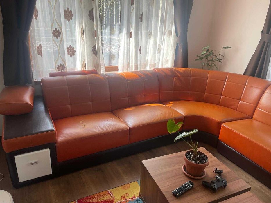 coltar piele urias de vanzare