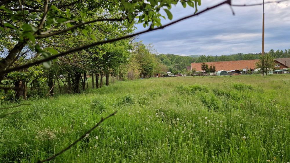 vand teren intravilan in Vulcan
