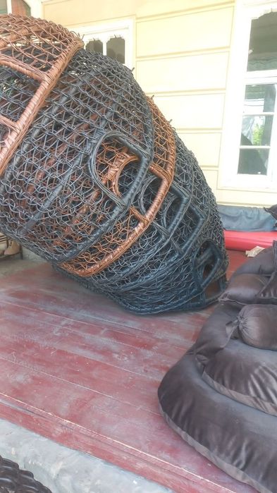 Ratan kachela olami eng arzonarxlar tayyorlab yetkazib