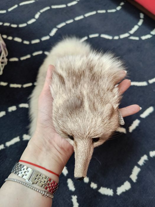 Vând guler nou Vulpe polara naturala