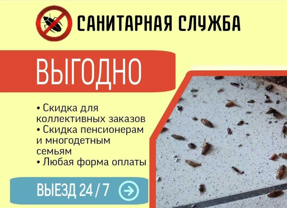 Klop klapa tarakan запахи плесень Dezinfeksiya клапа клоп таракан D10