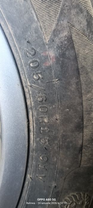 Roti de vara de vânzare