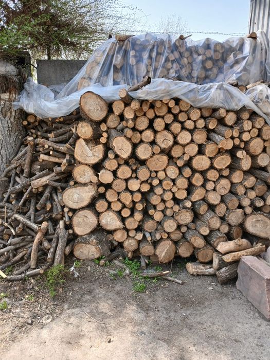 Дрова на шашлыки Алматы