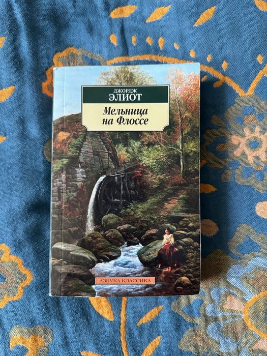 Книга Мельница на Флоссе