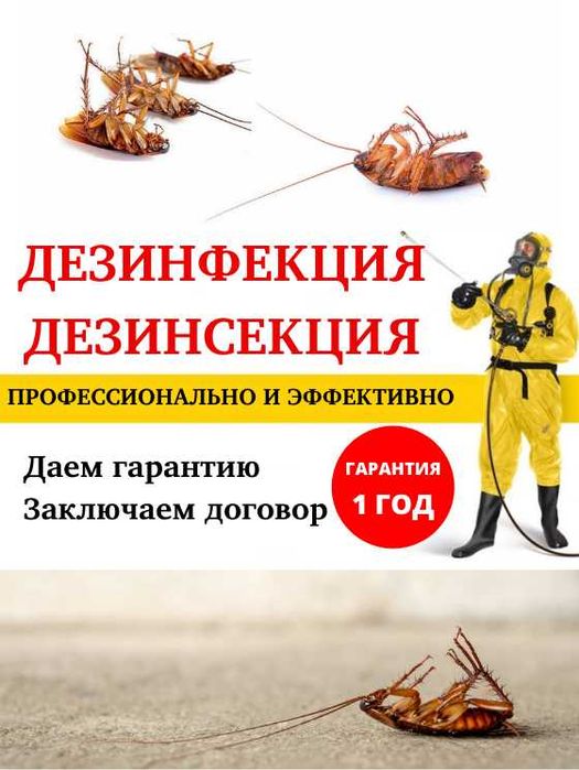 Дезинфекция Уничтожение тараканов клопов вшей муравьев крыс мошек блох