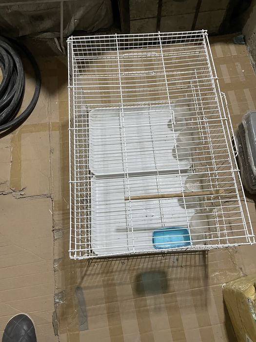 Qafas narxi vapshem arzon